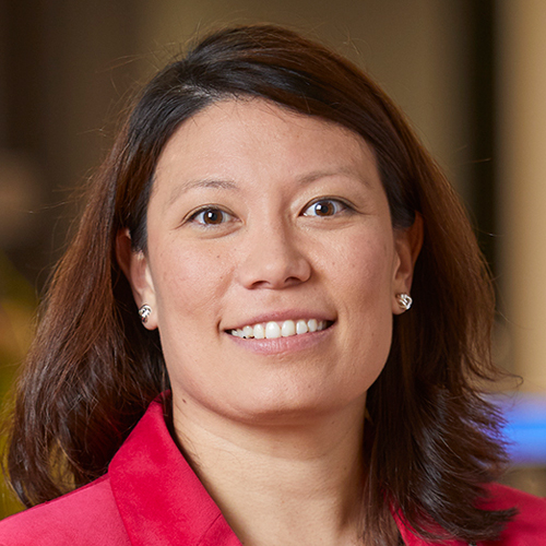 Janet Hermann, Interim Chief Financial Officer of Datasite